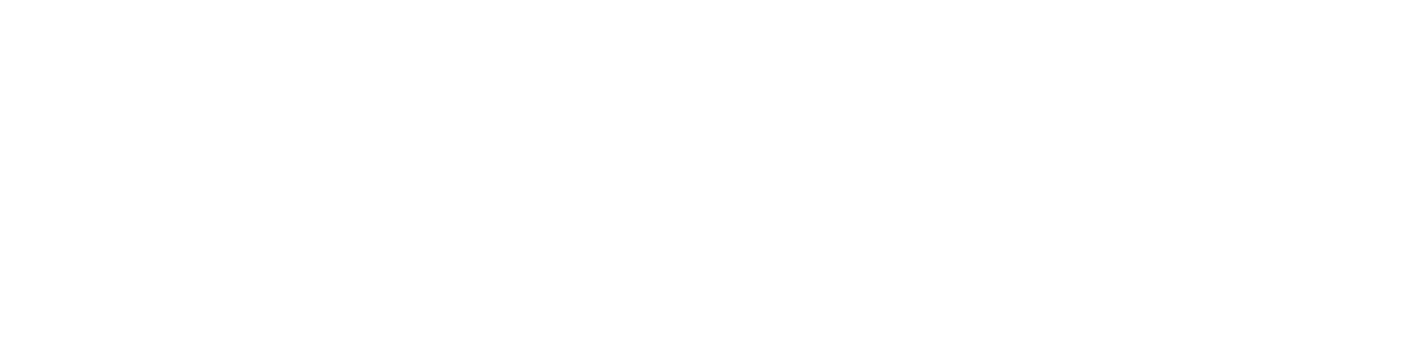 Flntervention